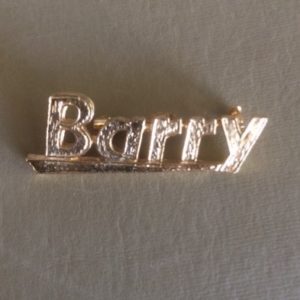 Barry Goldwater jewelry name pin